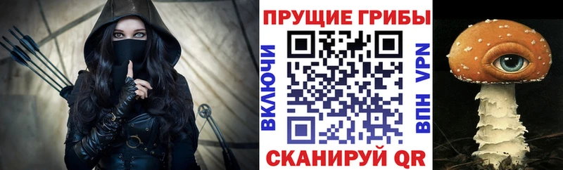 мориарти наркотические препараты  Грозный  ОМГ ОМГ ONION  Псилоцибиновые грибы GOLDEN TEACHER  наркота 